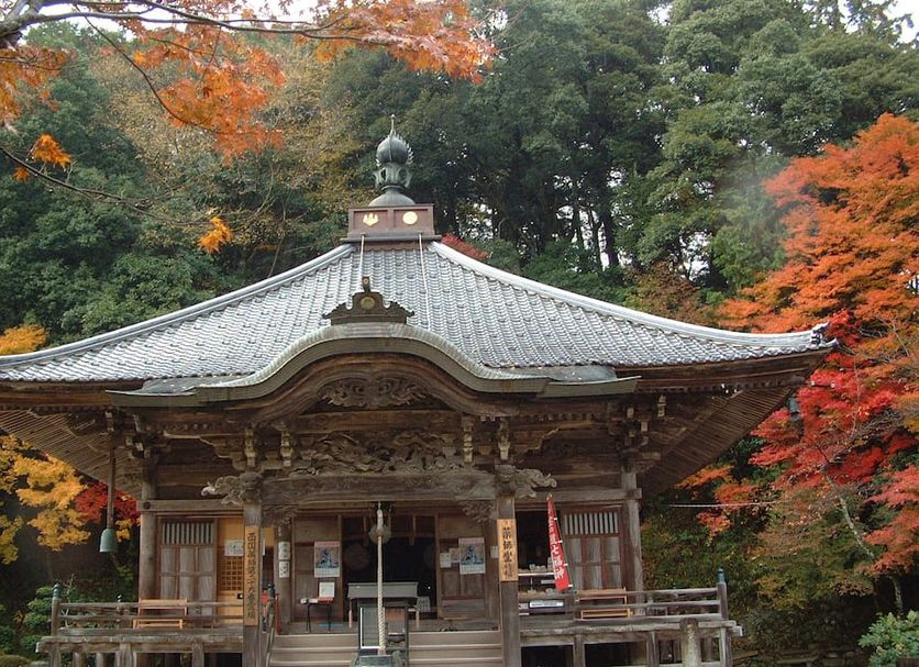 Other Photo
