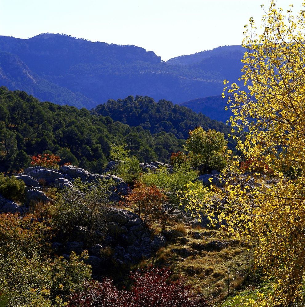 Outdoor view