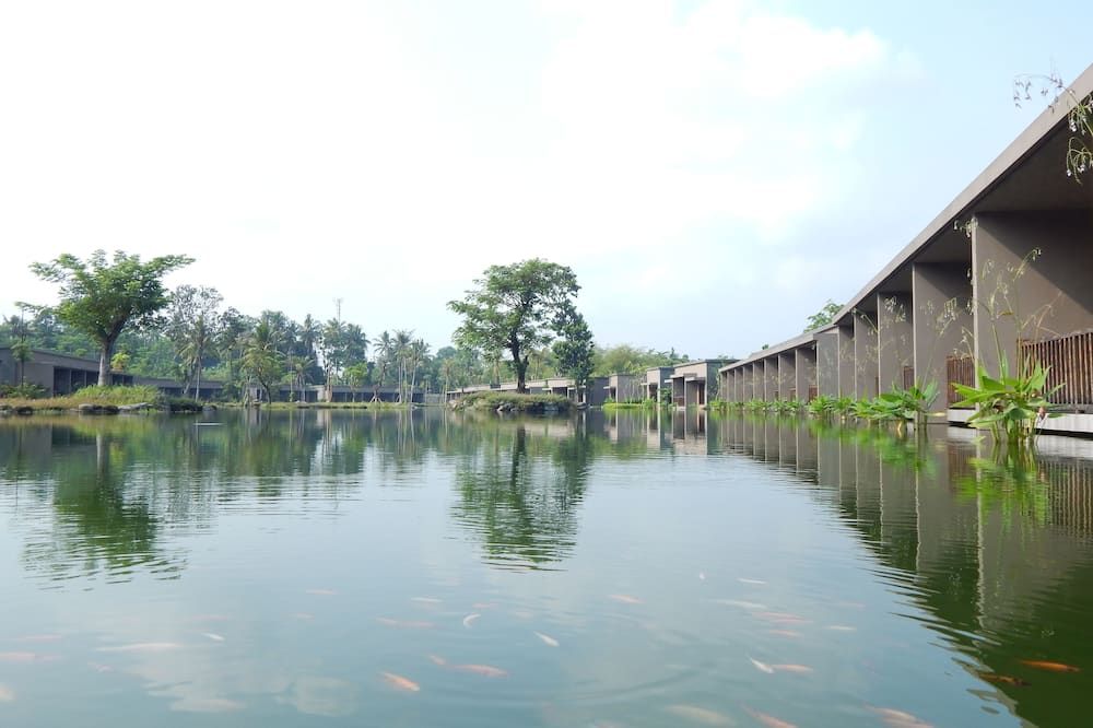 Outdoor view