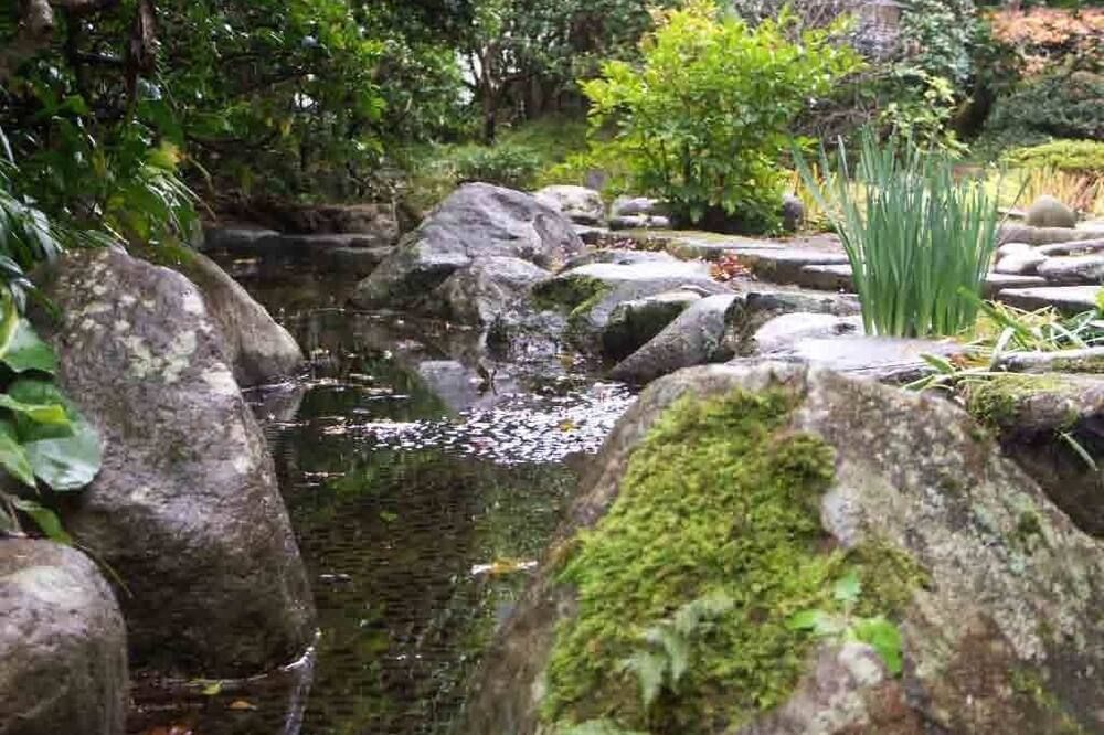 Outdoor view