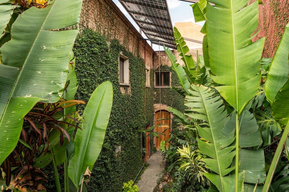 Outdoor view