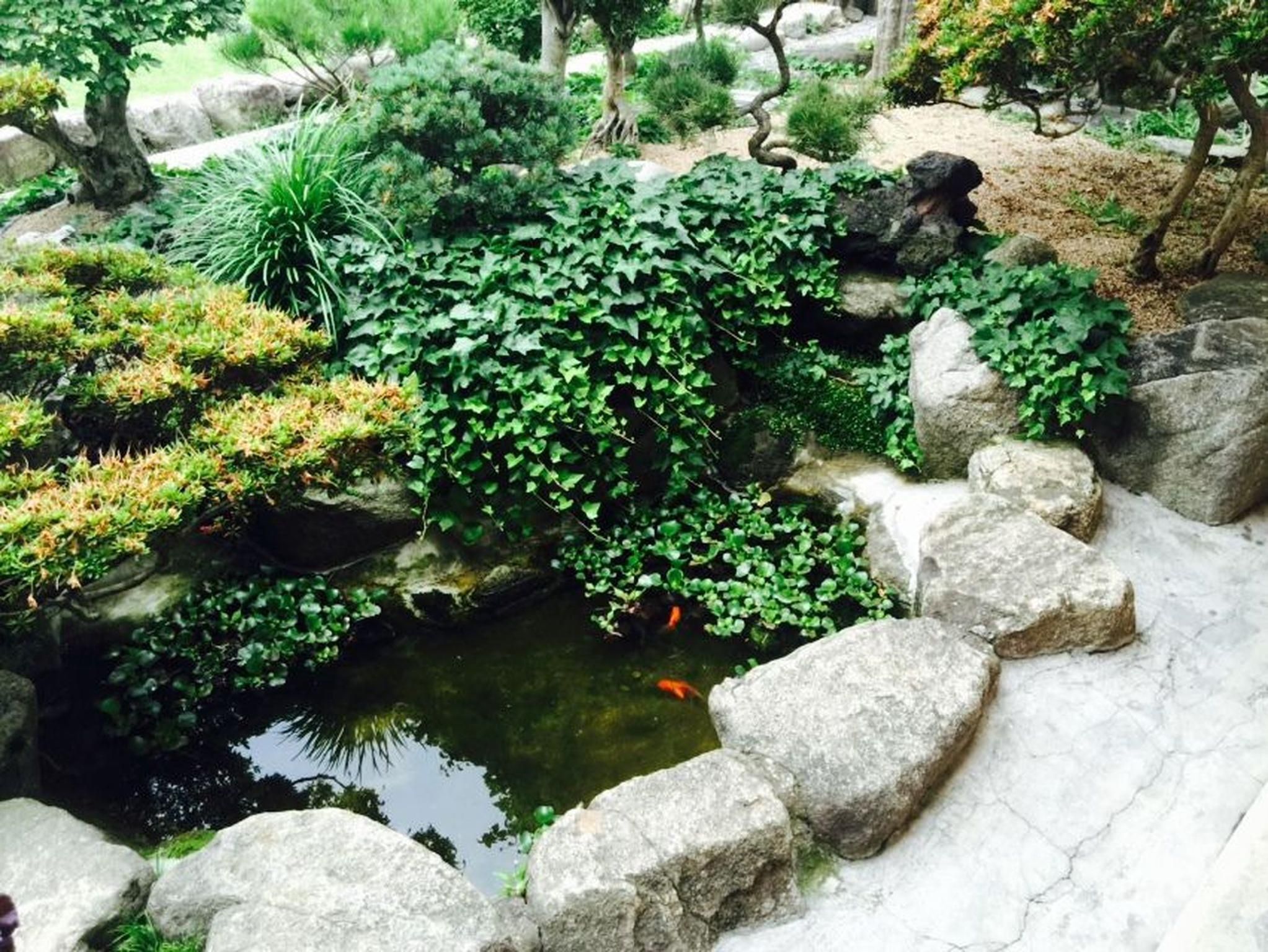 Outdoor view
