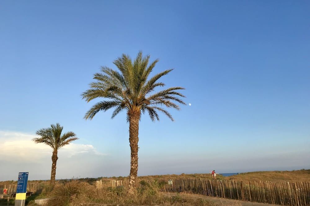 Outdoor view