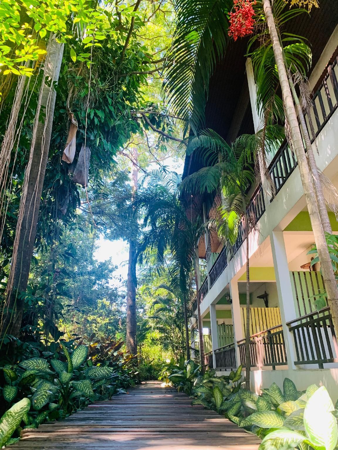 Outdoor view