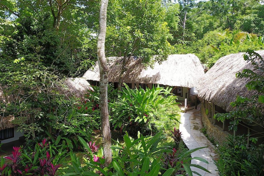 Outdoor view