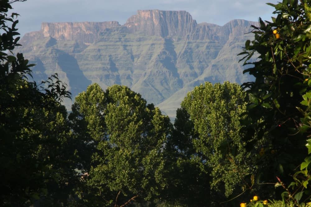 Outdoor view