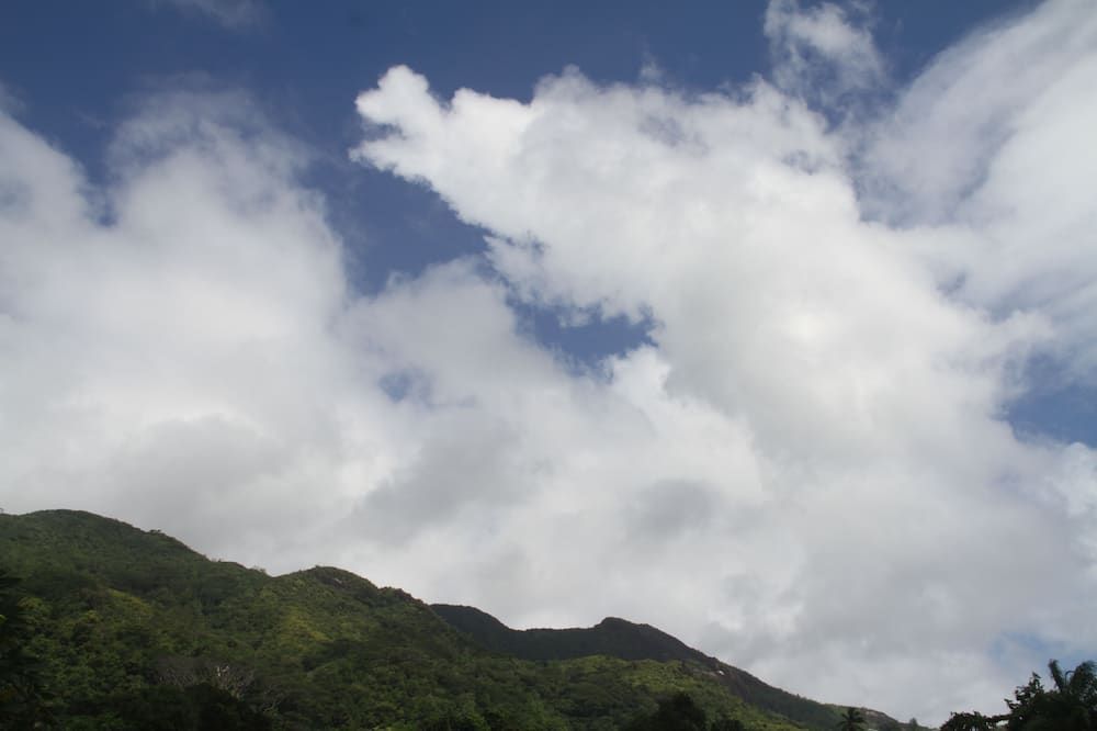 Outdoor view