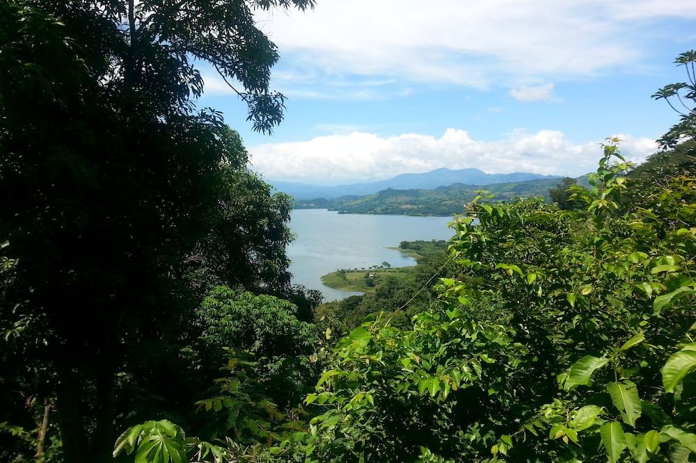 Outdoor view