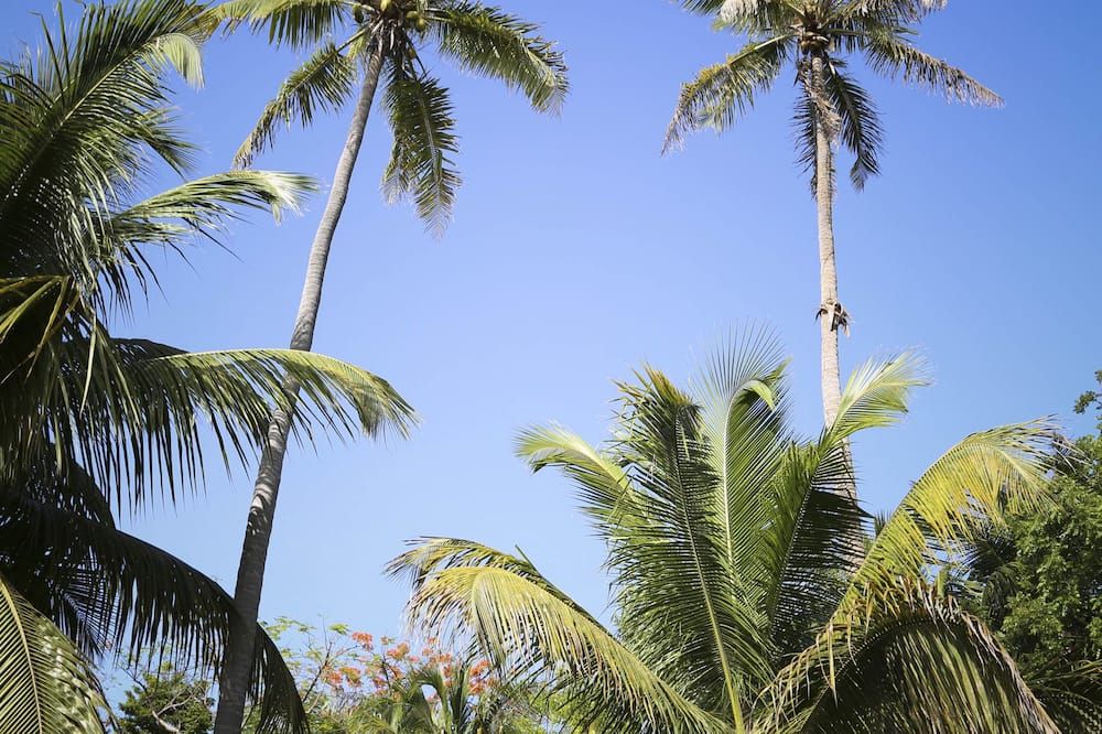 Outdoor view