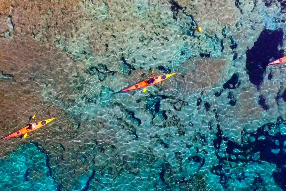 Other