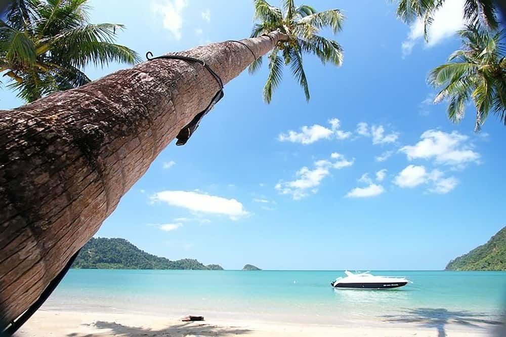 Outdoor view