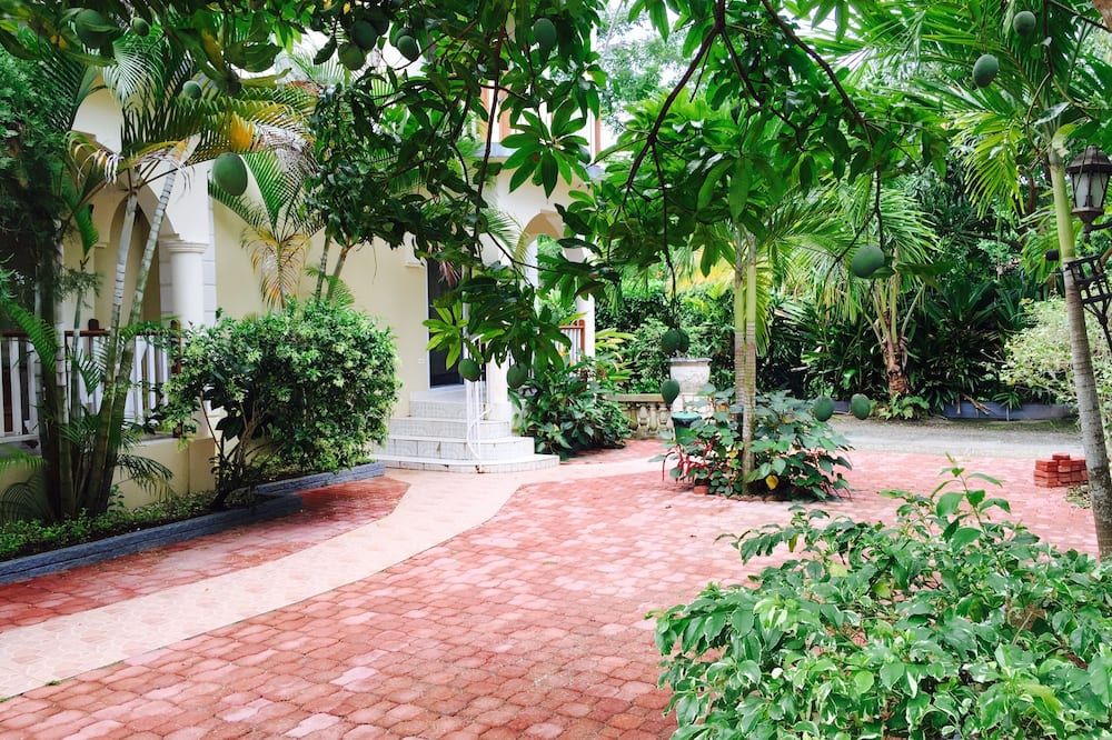 Outdoor view