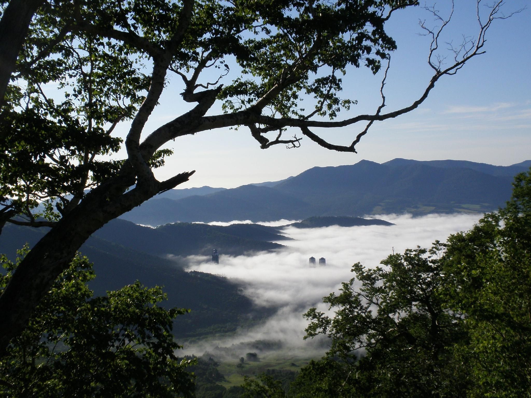 Outdoor view