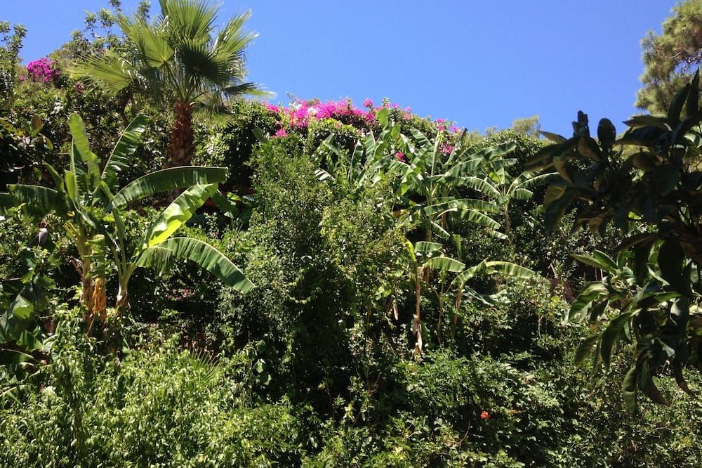 Outdoor view
