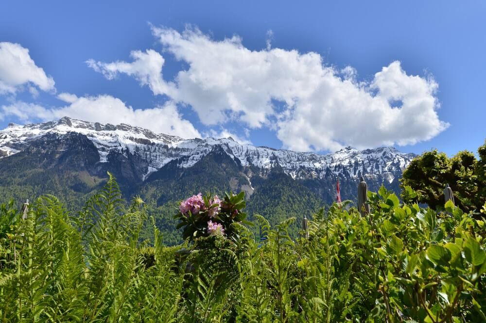 Outdoor view