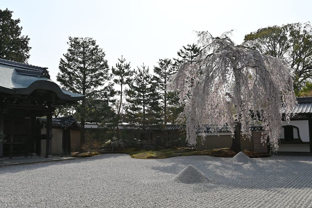 Outdoor view
