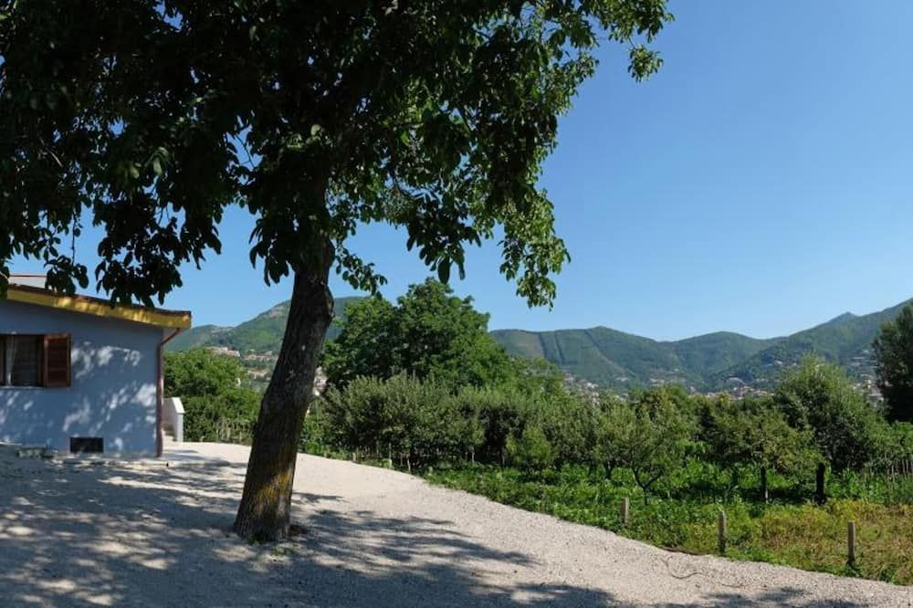 Outdoor view
