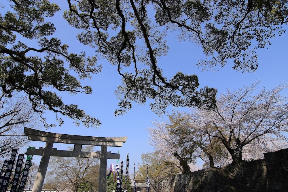 Outdoor view