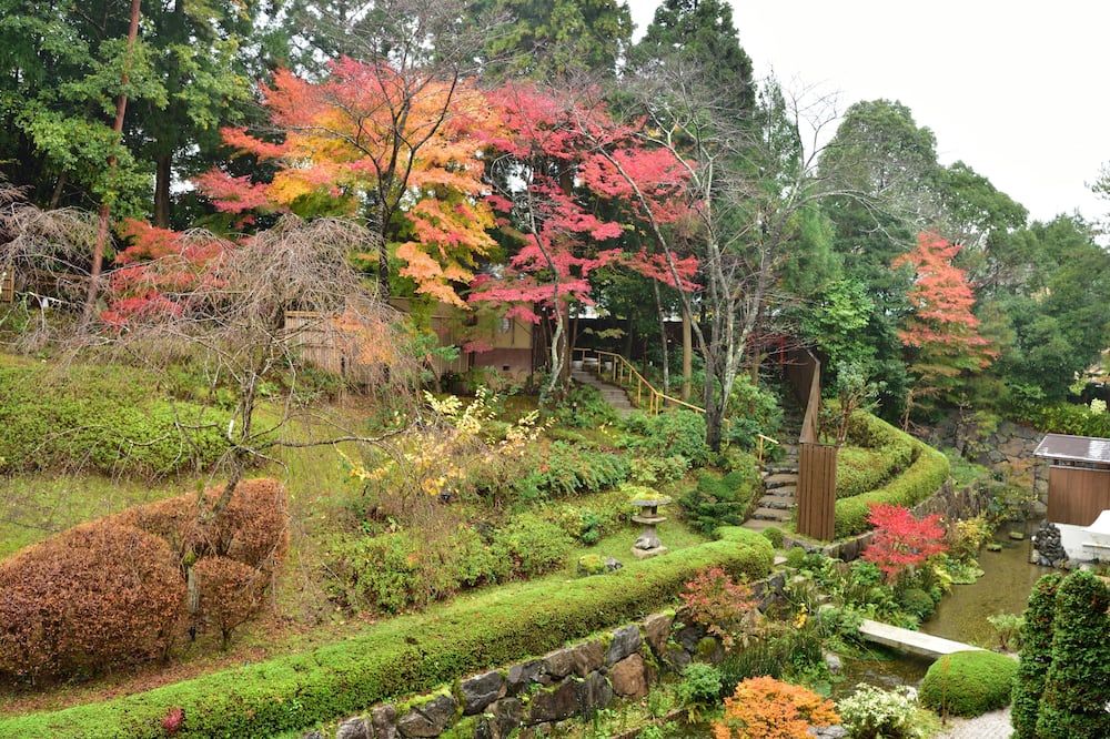 Outdoor view