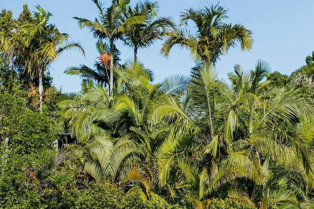 Outdoor view