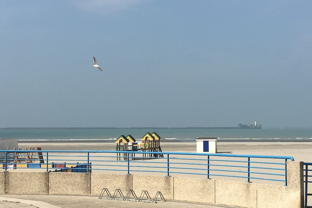 Beach Photo