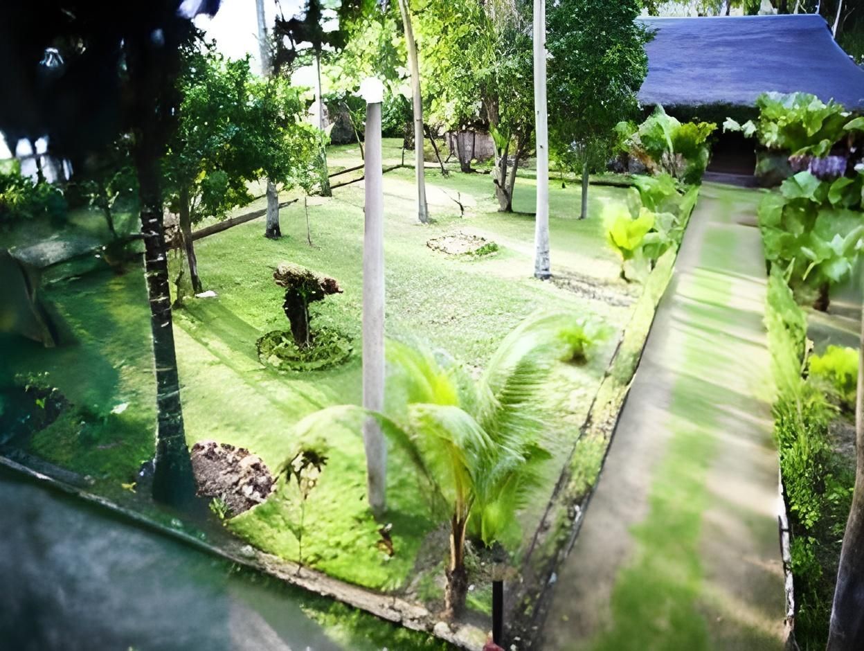 Outdoor view