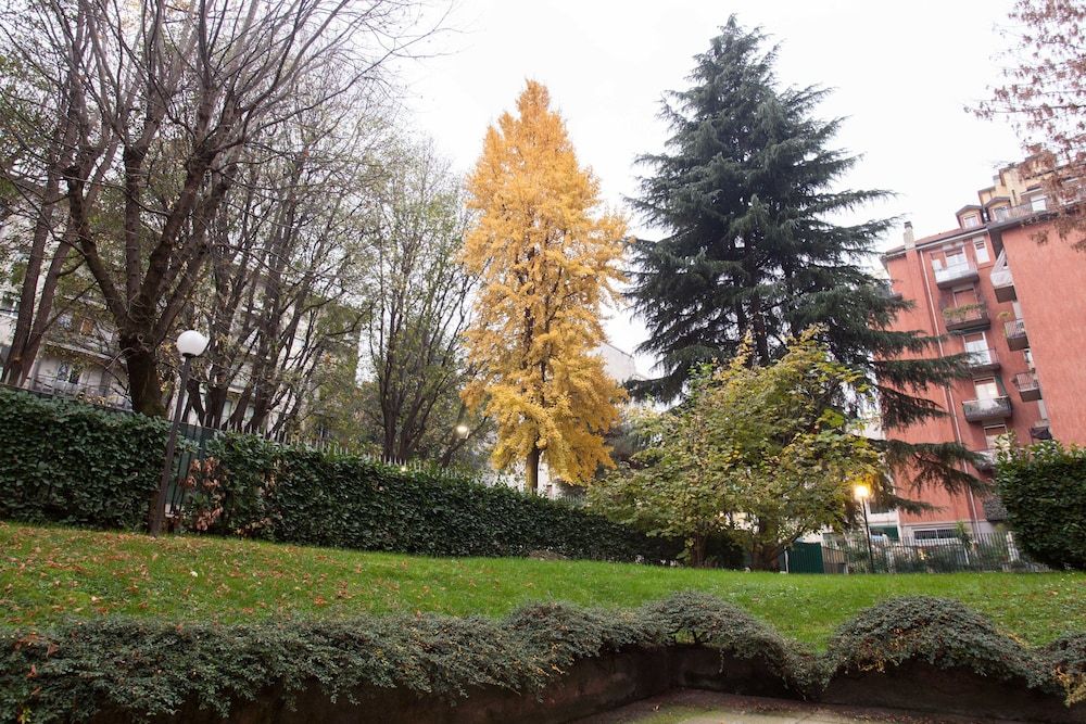 Outdoor view