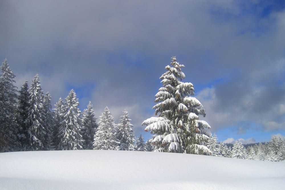 Outdoor view