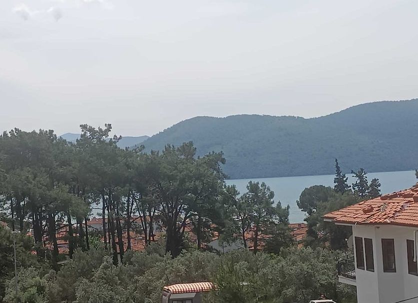 Other Photo