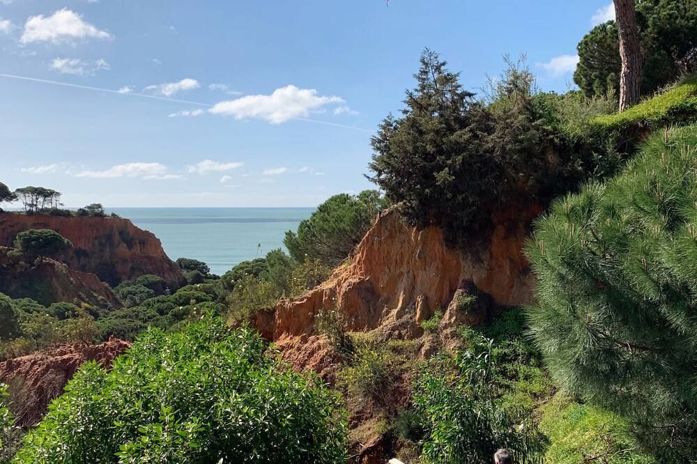 Outdoor view