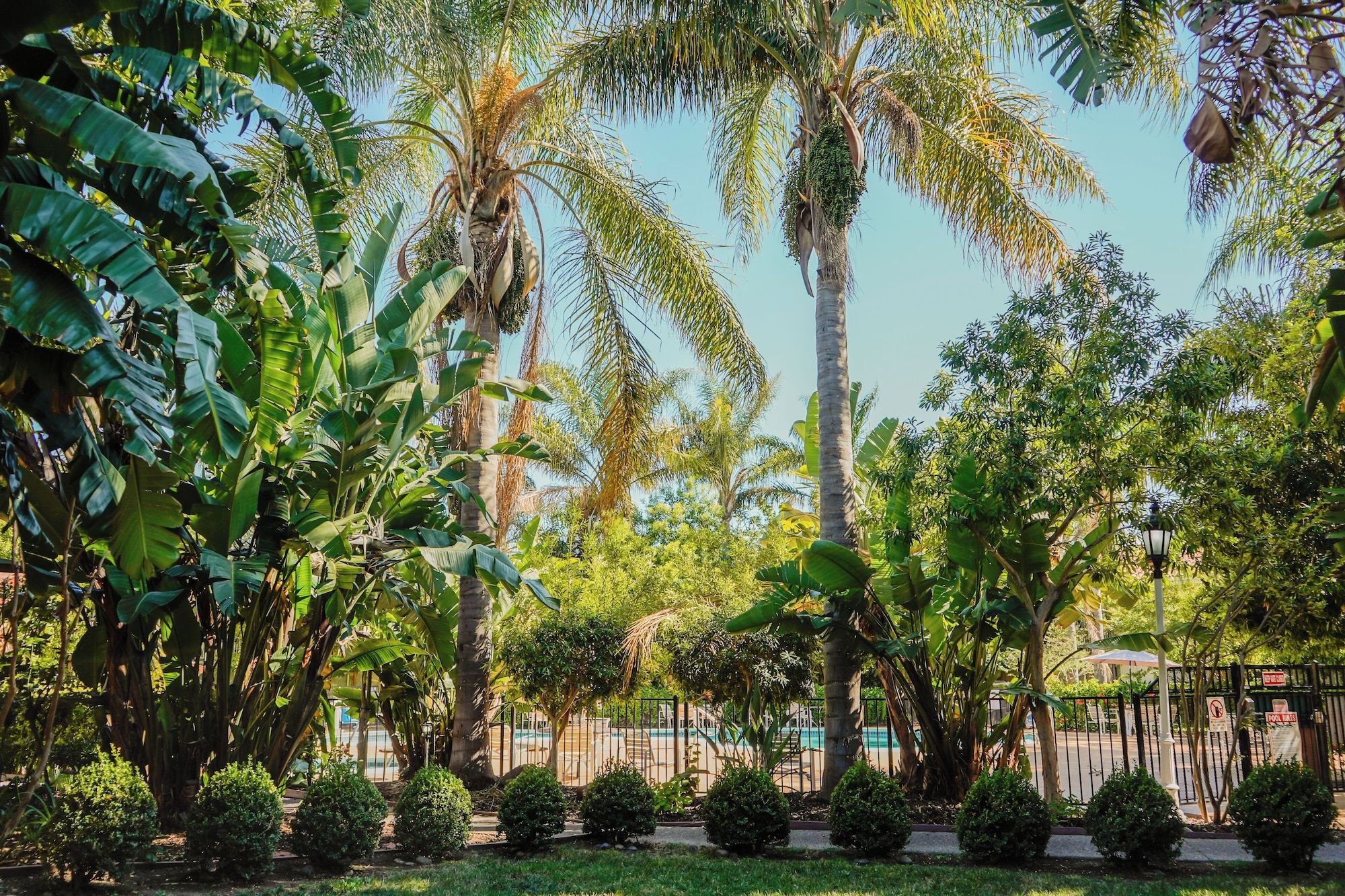 Outdoor view