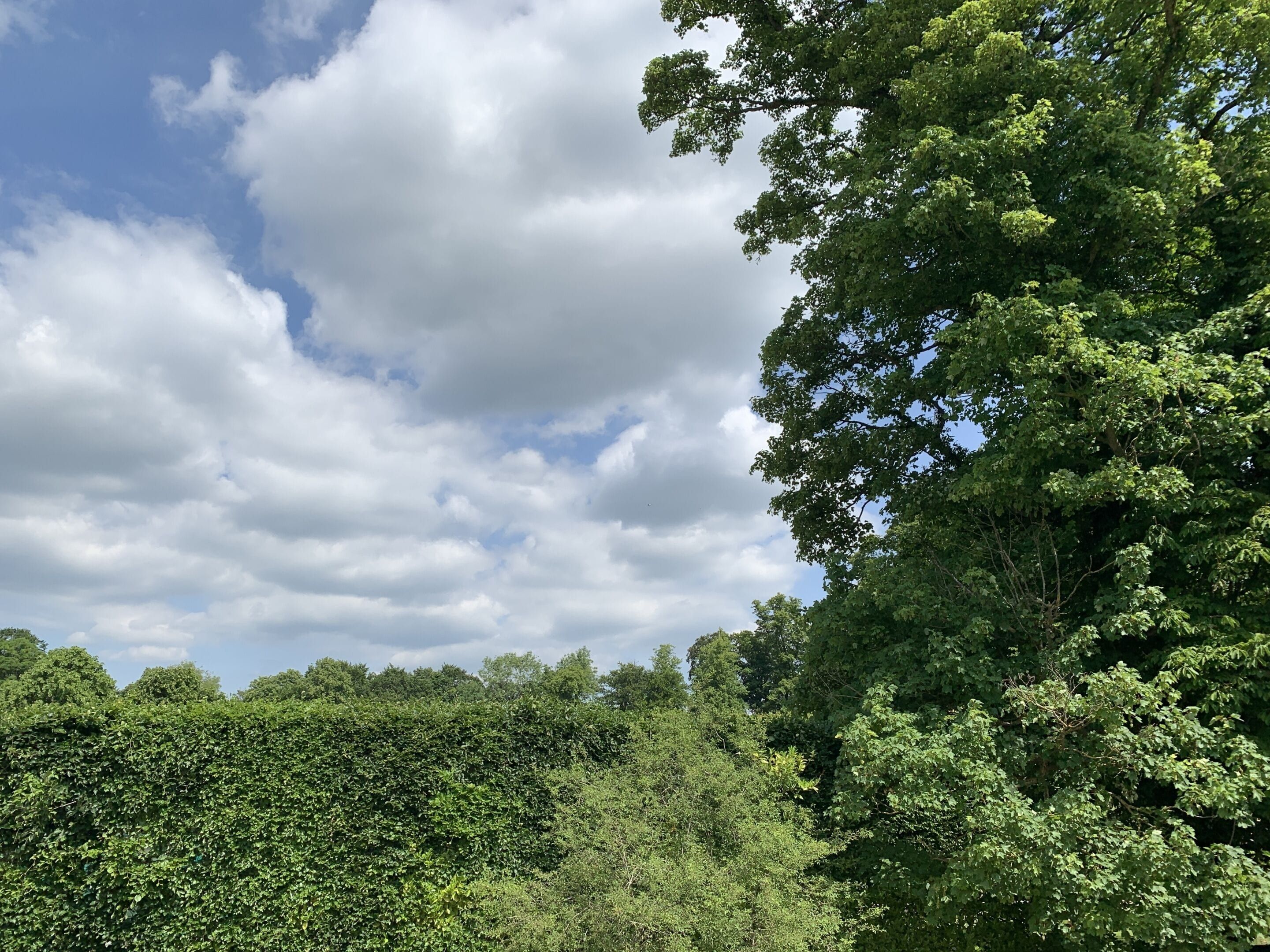 Outdoor view