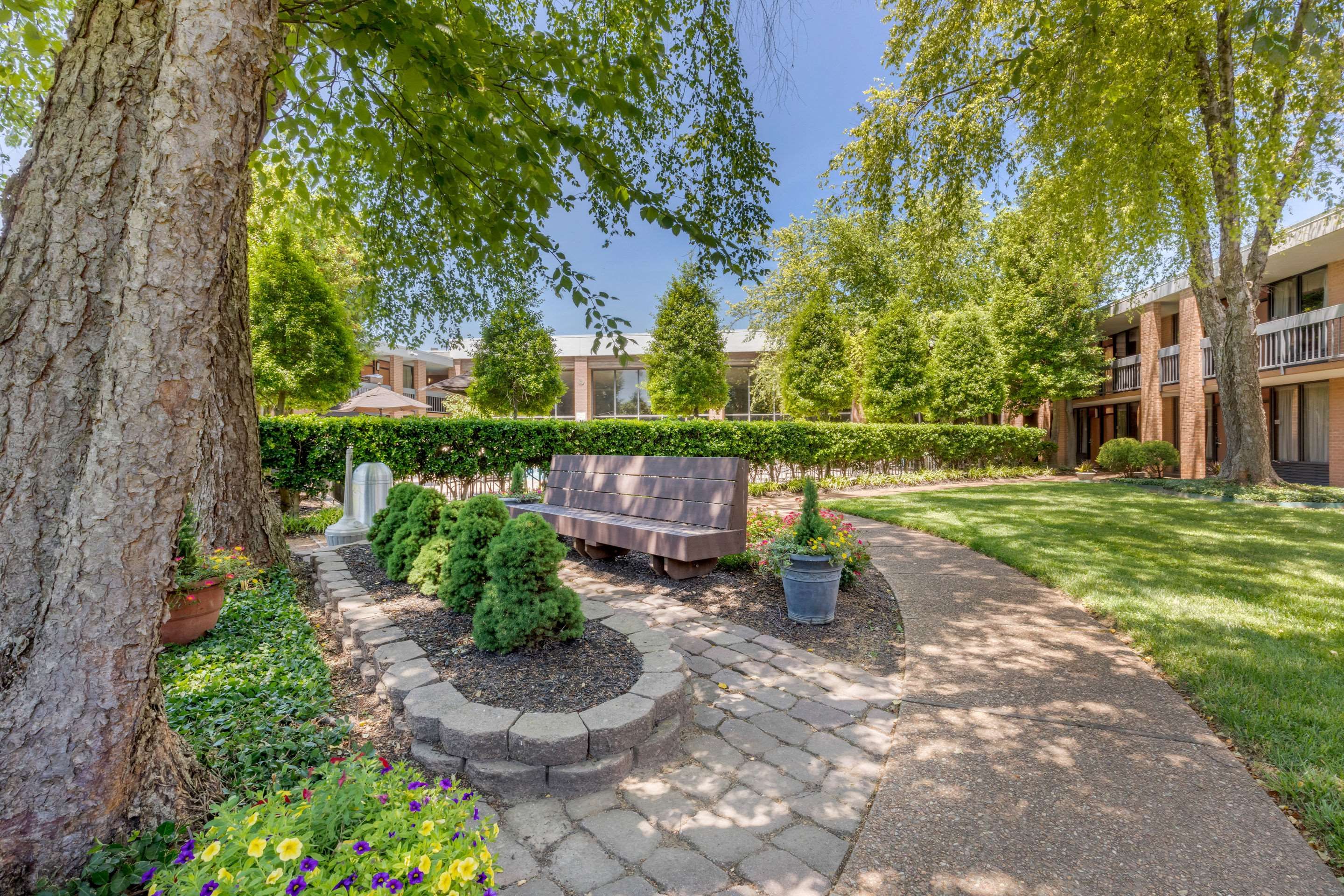 Outdoor view