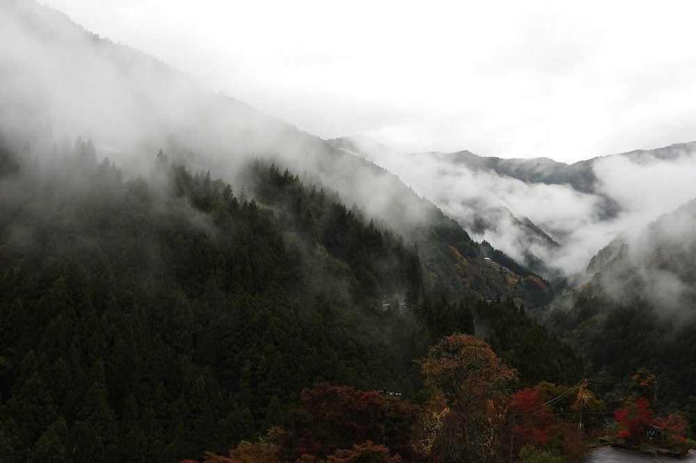 Outdoor view