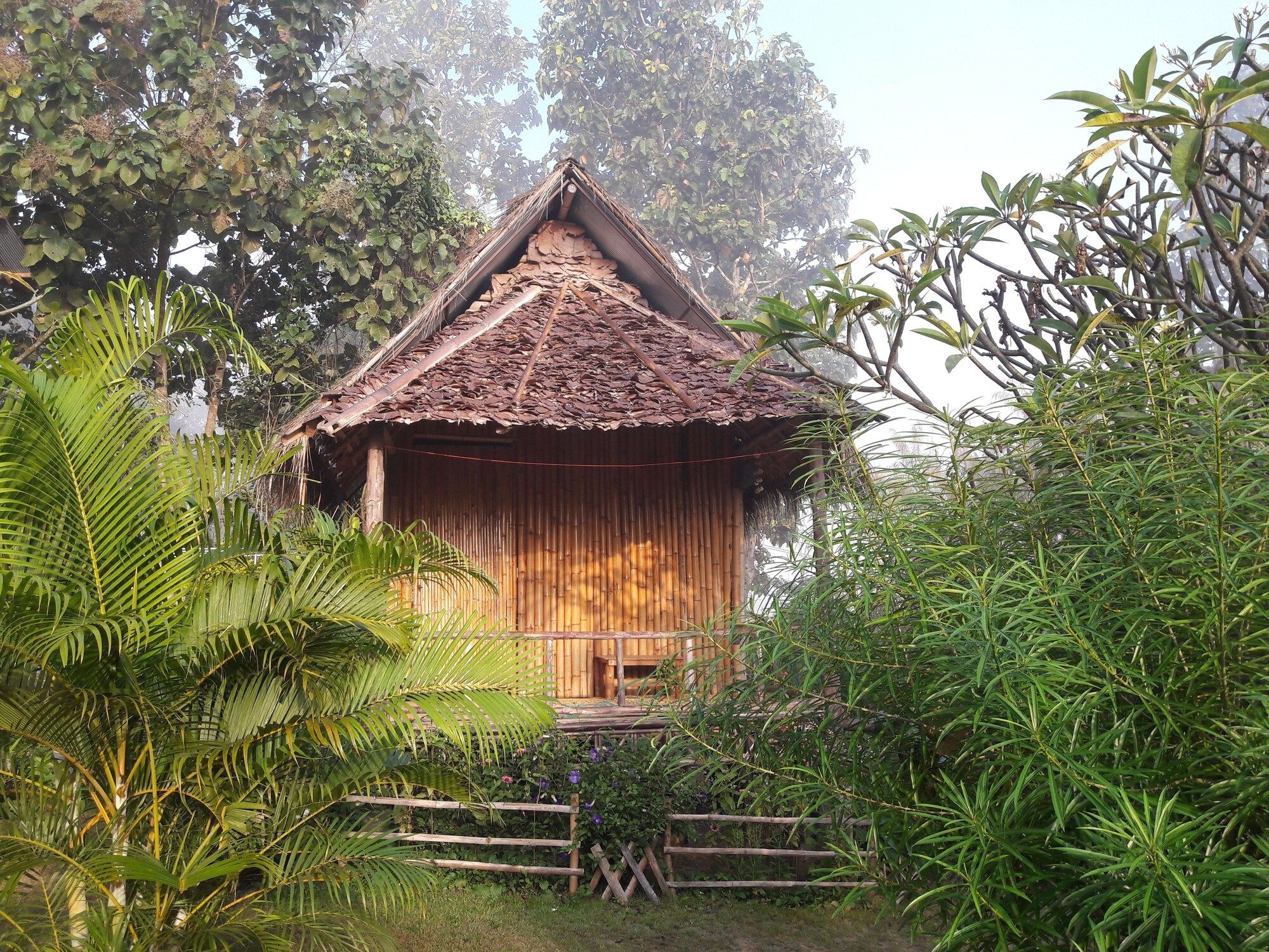 Outdoor view