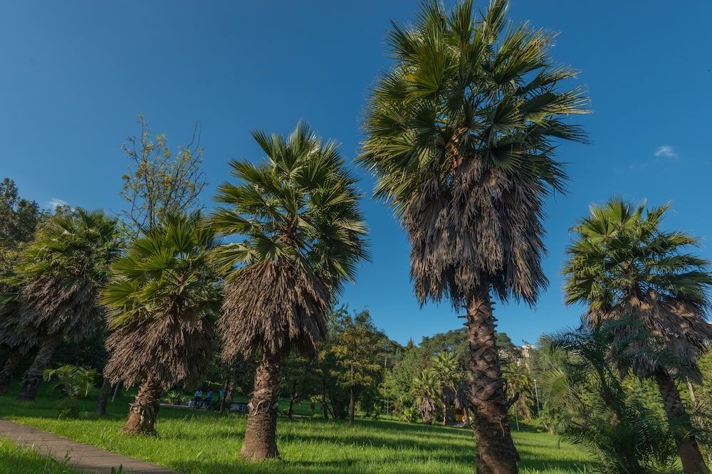 Outdoor view