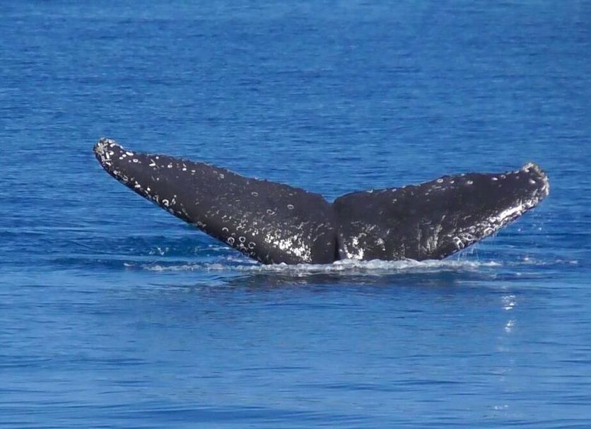 Other Photo