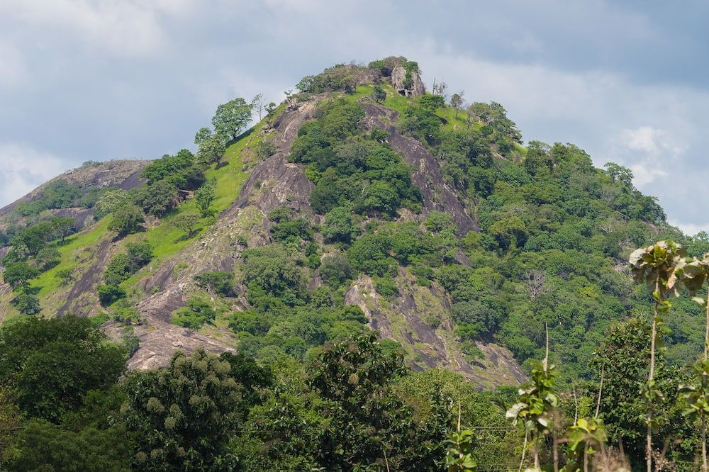 Outdoor view