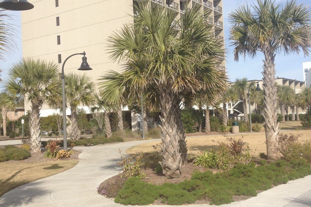Outdoor view