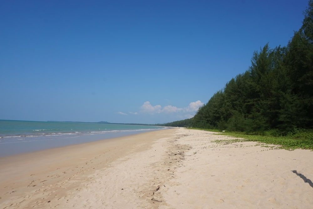 Beach Photo
