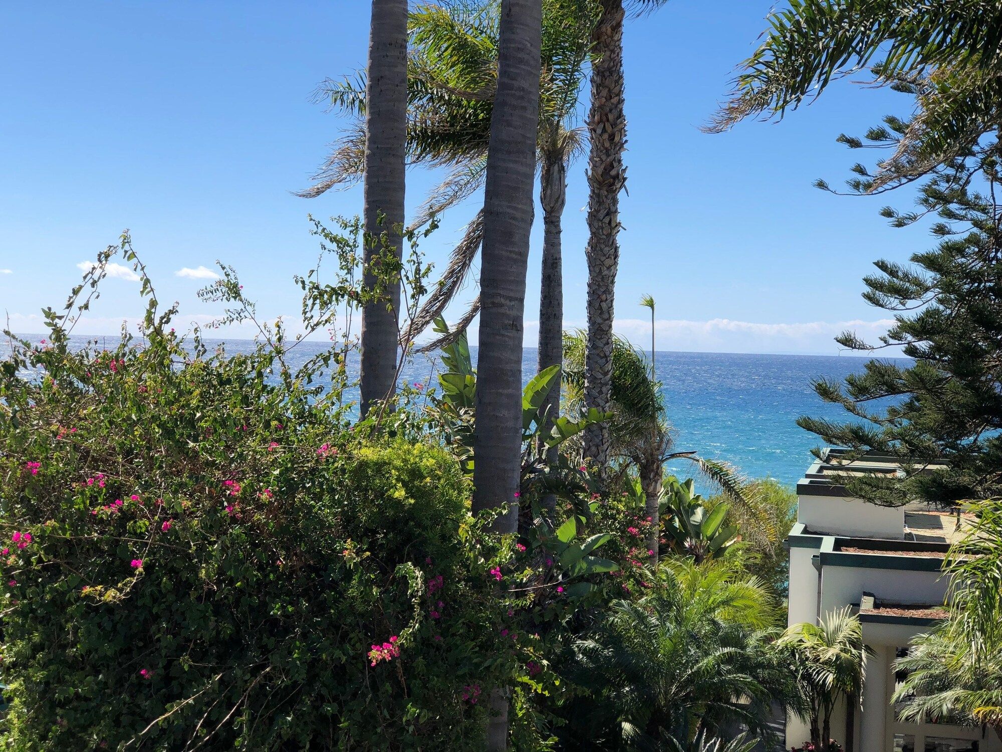 Outdoor view