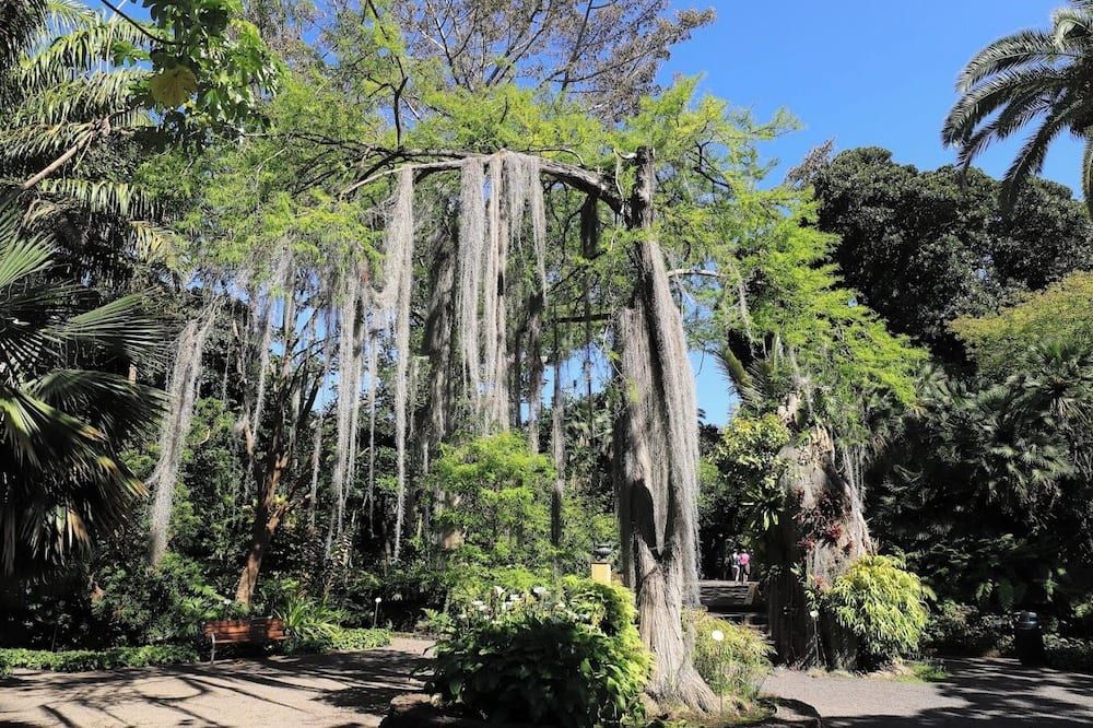 Outdoor view