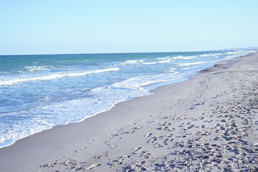 Beach Photo