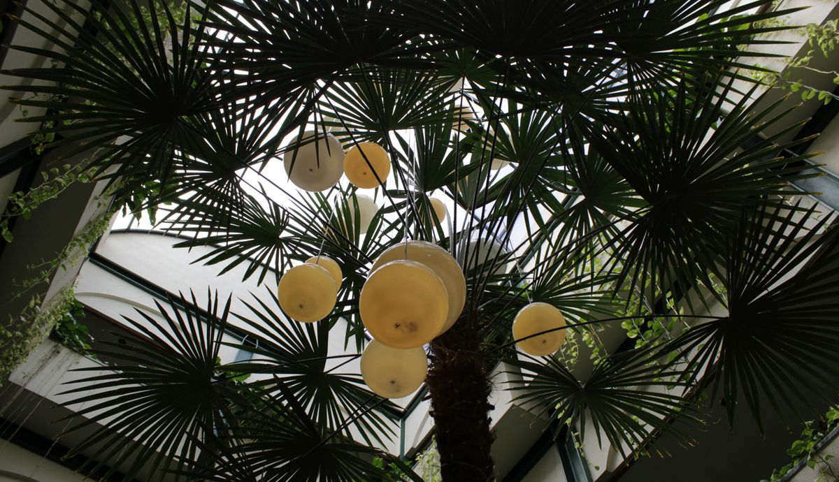 Outdoor view