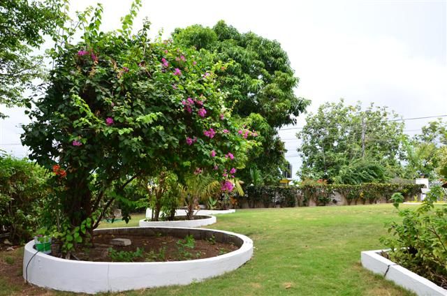 Outdoor view