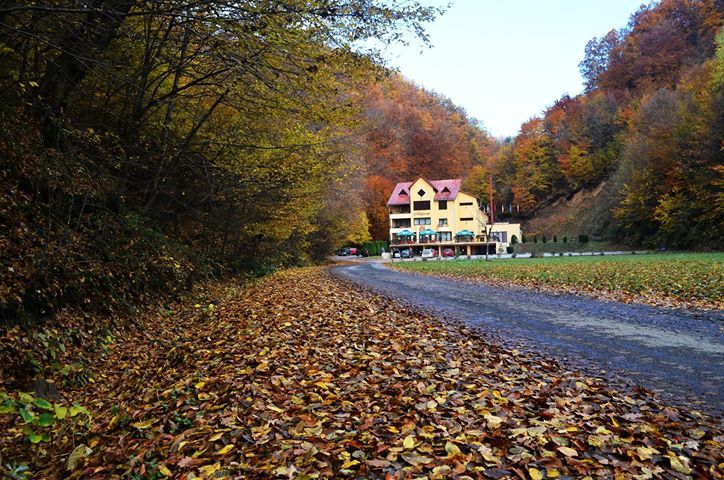 Outdoor view