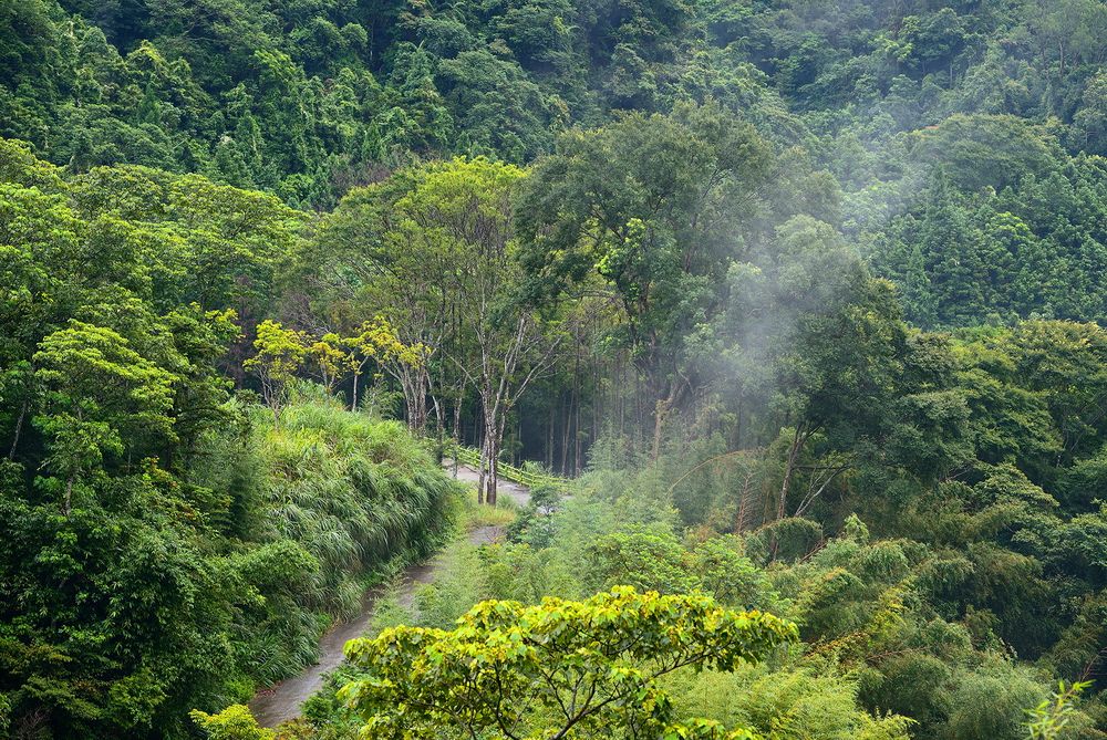 Outdoor view