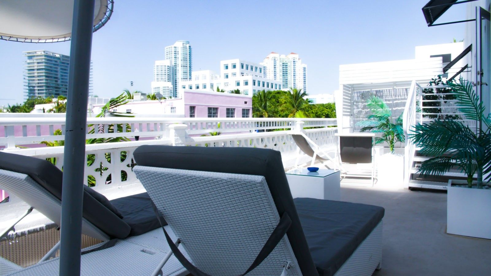 Rooftop Photo