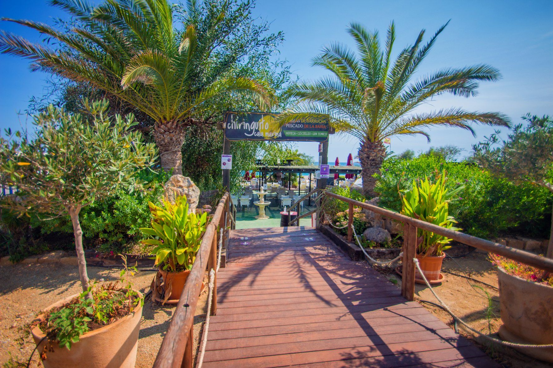 Outdoor view