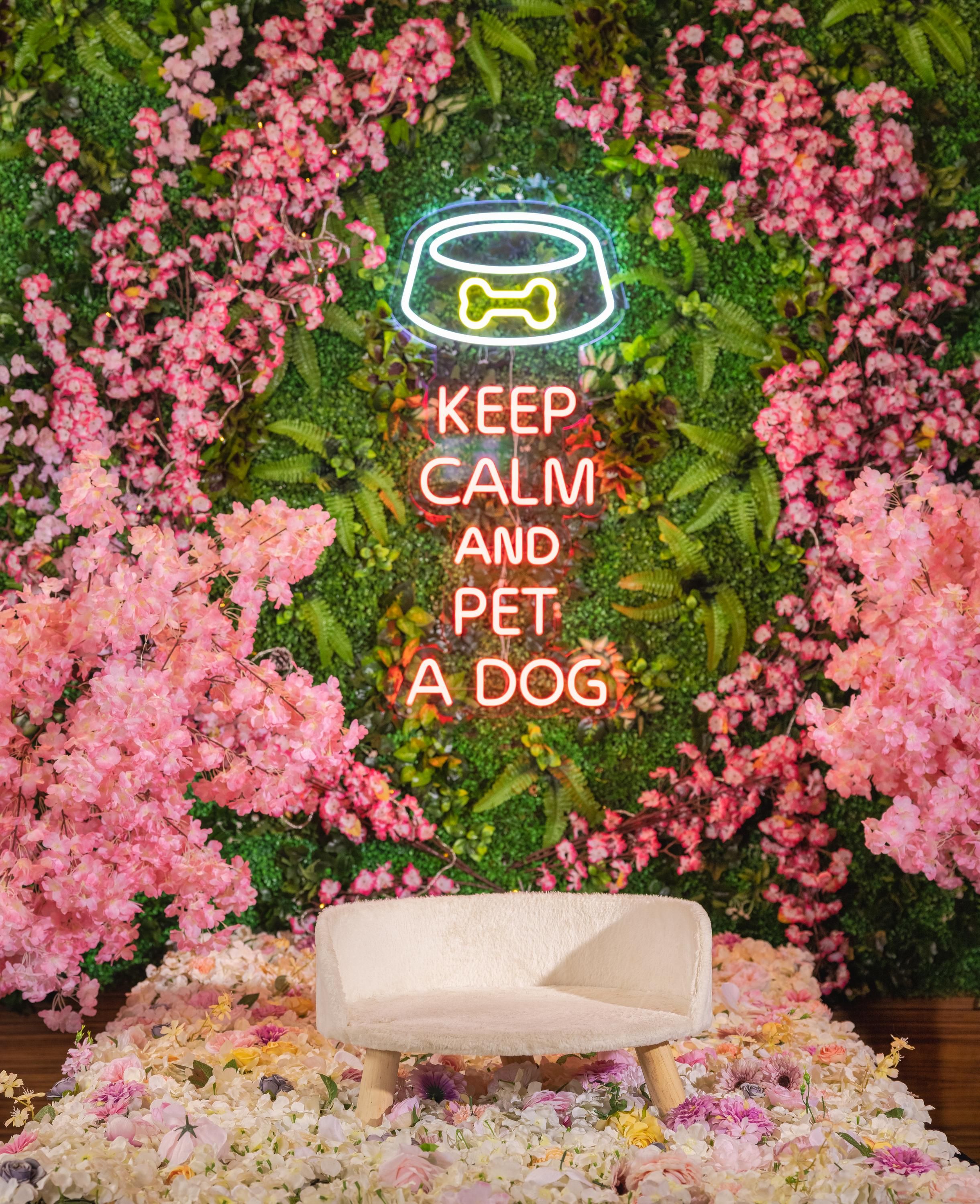 Pet friendly